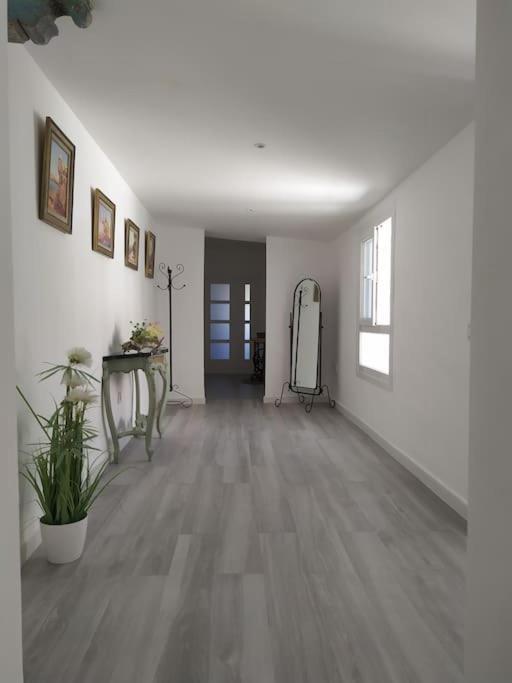 Apartament Espectacular Piso En La Misma Plaza Del Mentidero. Kadyks Zewnętrze zdjęcie